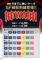 REWARD 2019 総合カタログ